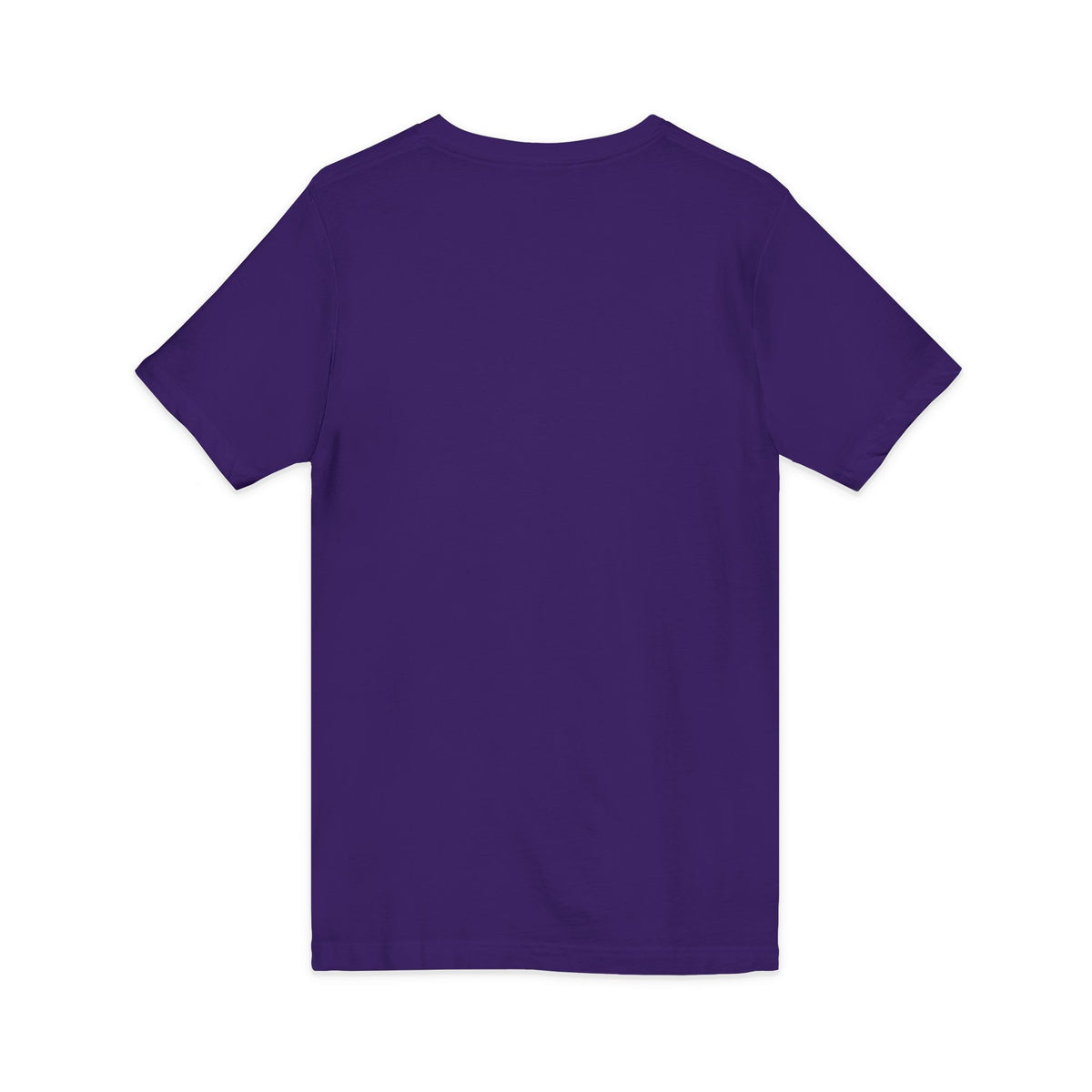 Standards: Fictional, Unstable & Armed V-Neck | Unisex Fit Tee