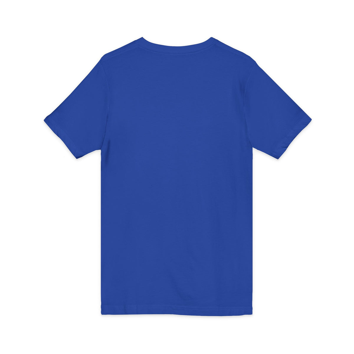 Standards: Fictional, Unstable & Armed V-Neck | Unisex Fit Tee
