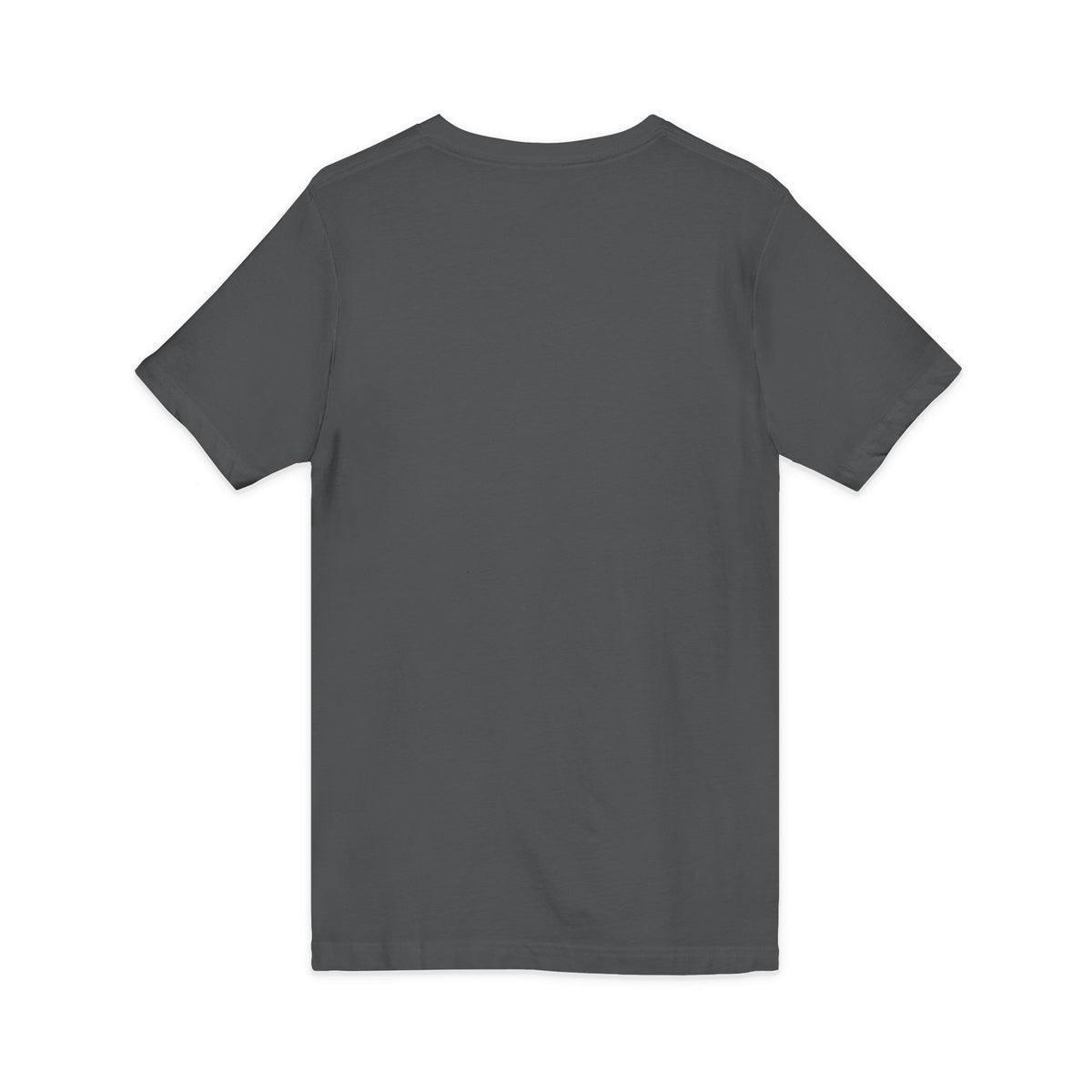 Standards: Fictional, Unstable & Armed V-Neck | Unisex Fit Tee