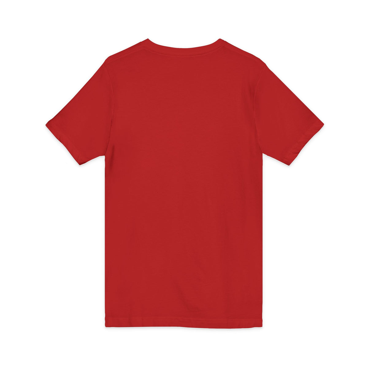 Standards: Fictional, Unstable & Armed V-Neck | Unisex Fit Tee