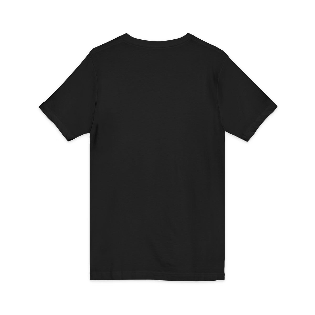 Standards: Fictional, Unstable & Armed V-Neck | Unisex Fit Tee